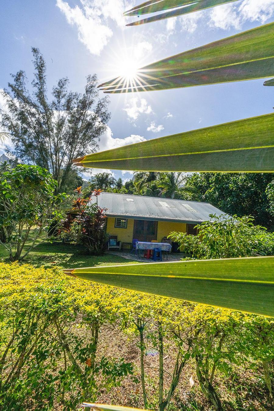 Heimanarii,Slodge 0Puhi Haapiti Exterior photo